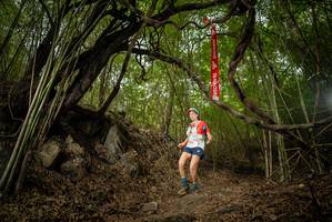 BIB: 
                            <button type="button" onclick="openModal(22178660)" class="btn btn-primary btn-sm float-right btn-popup" data-toggle="modal" data-target=".modal-high-quality">
                        <i class="fas fa-shopping-cart"></i> Add to Cart
                    </button>
                                            <button type="button" onclick="isThisMe(22178660, true)" class="btn btn-success btn-sm float-right btn-popup btn-isme hidden" data-toggle="tooltip" data-placement="bottom" title="นี่คือรูปของคุณใช่ไหม คลิกที่นี่เพื่อเอาเข้าอัลบั้ม">
                        <i class="fas fa-plus"></i> Add to album
                    </button>
                    <button type="button" onclick="isThisMe(22178660, false)" class="btn btn-warning btn-sm float-right btn-popup btn-isnotme hidden">
                        <i class="fas fa-ban"></i> Remove from album
                    </button>